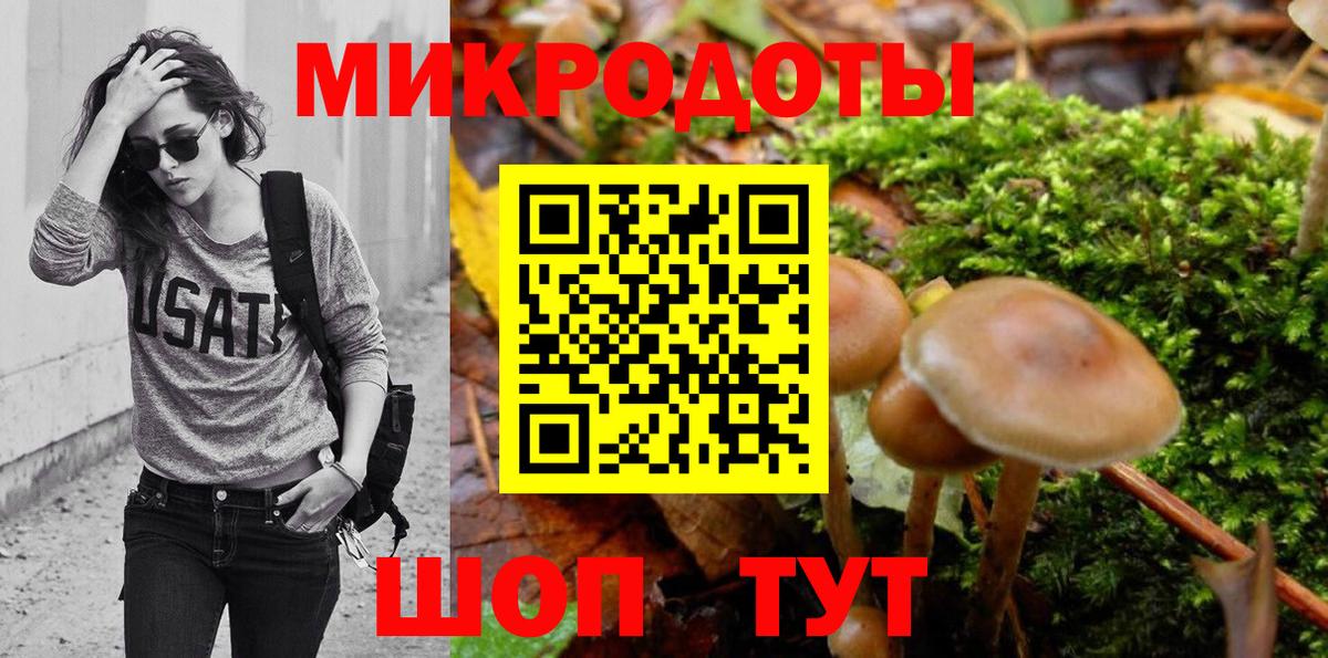 Псилоцибиновые грибы Cubensis Славгород